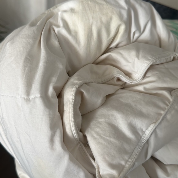 [Price Reduced] Blue bridge 75% down comforter (Queen size) $200 off！！ - Picture 6 of 8